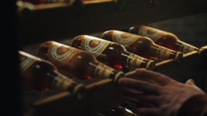 Coopers 2020 Vintage