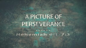 A Picture of Perseverance