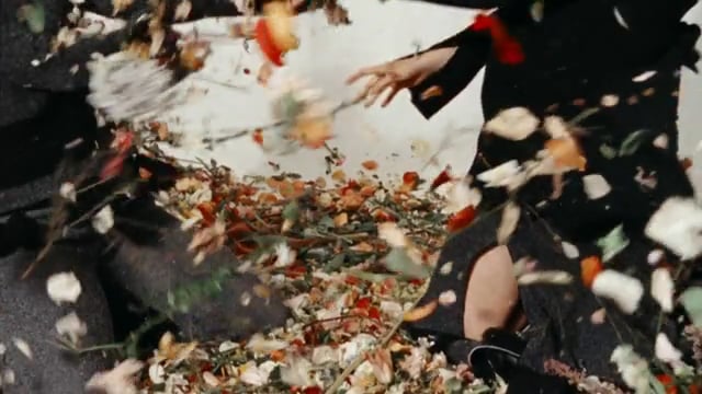 Proenza Schouler - PS I Love You - Harley Weir