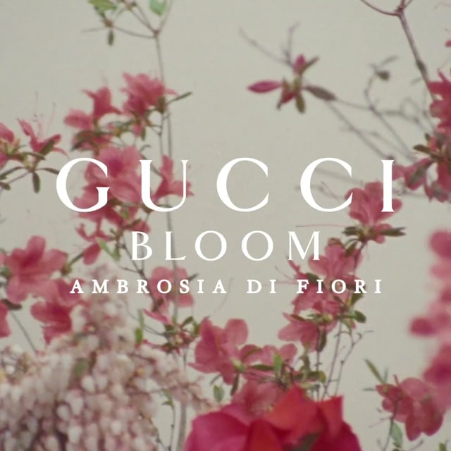 Gucci - Ambrosia Di Fiori - Ari Marcopoulos