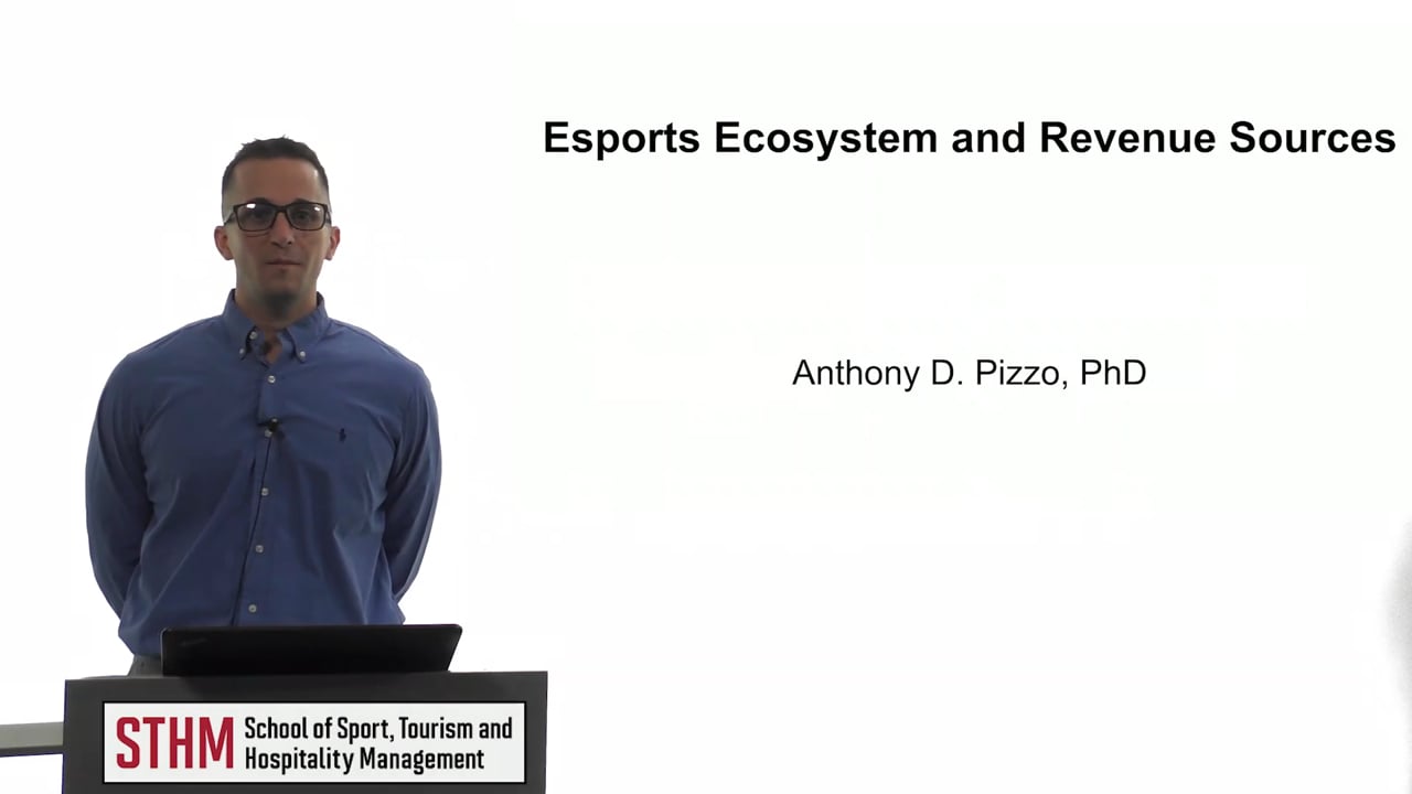 Esports Ecosystem and Revenue Sources