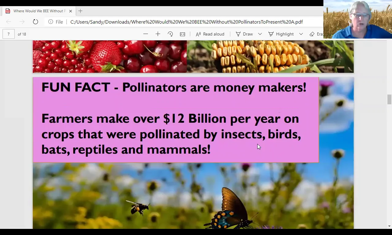 Where Would We BEE Without Pollinators Video on Vimeo