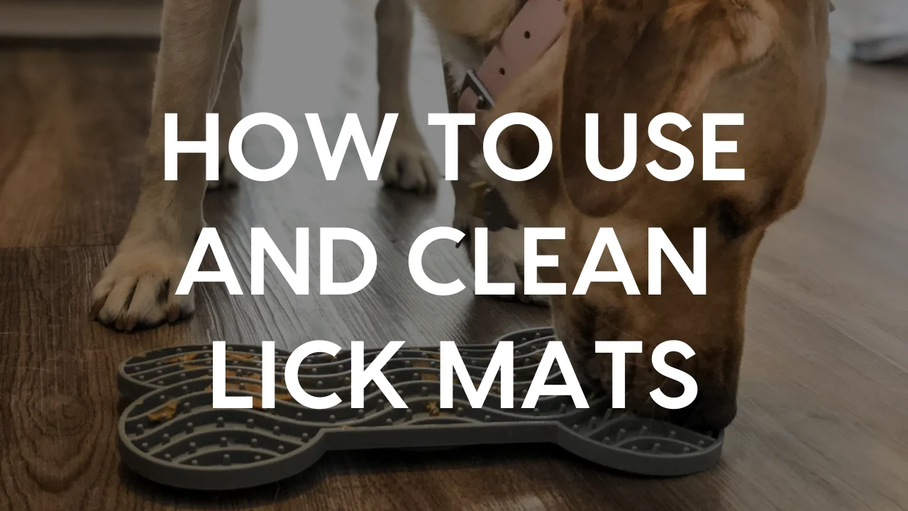 Lick Mat for Dogs (How and When to Use a Lick Mat) 