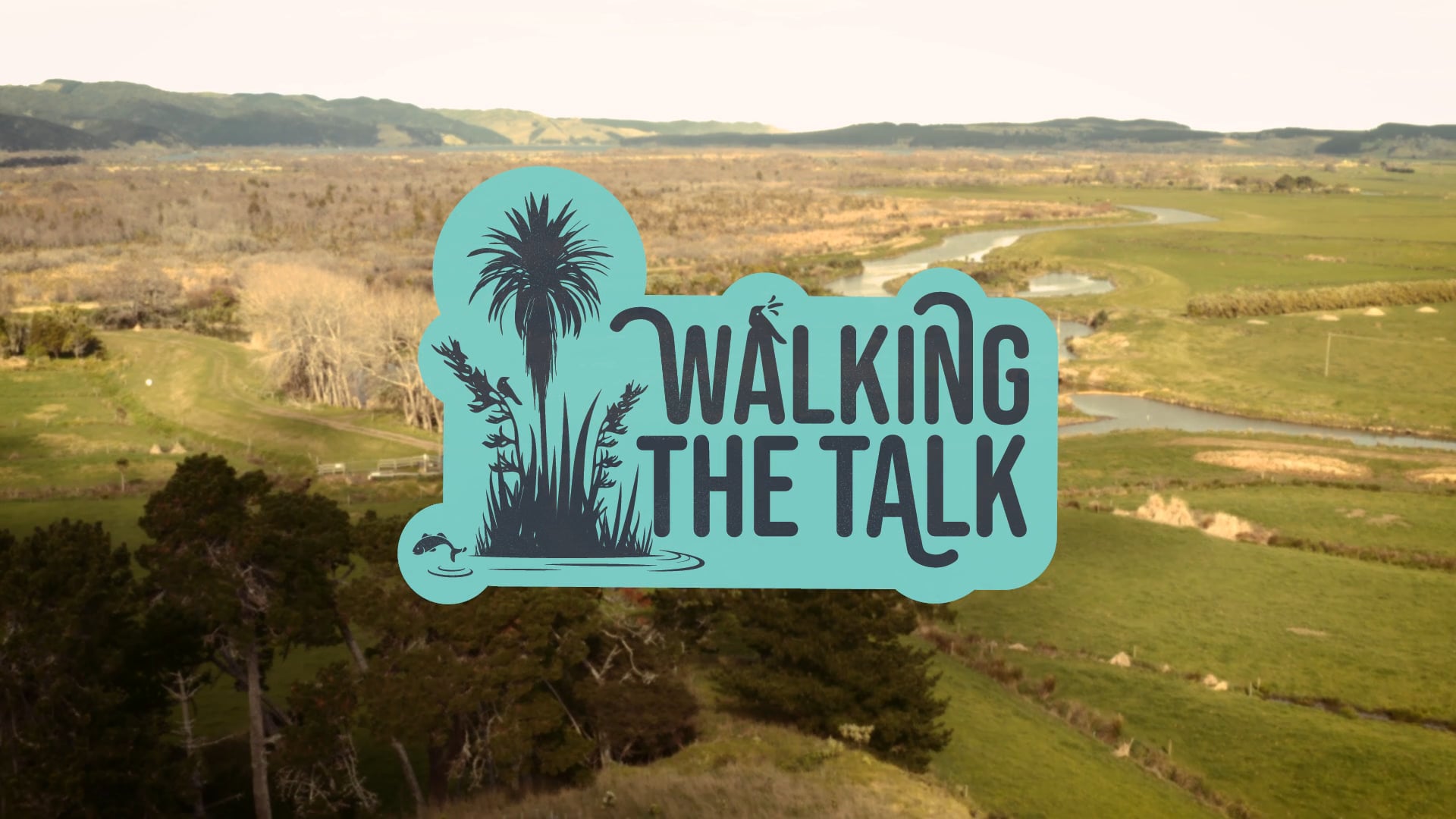 walking-the-talk-on-vimeo