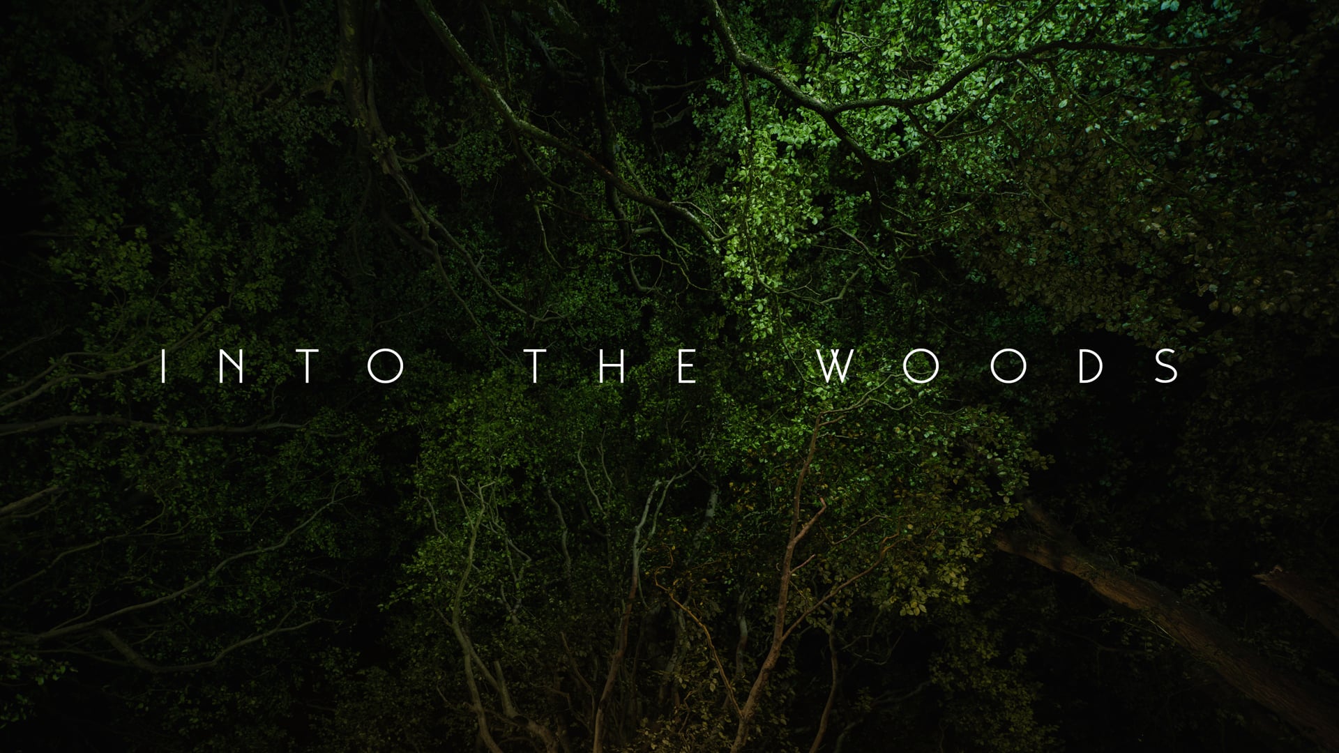 Into the Woods