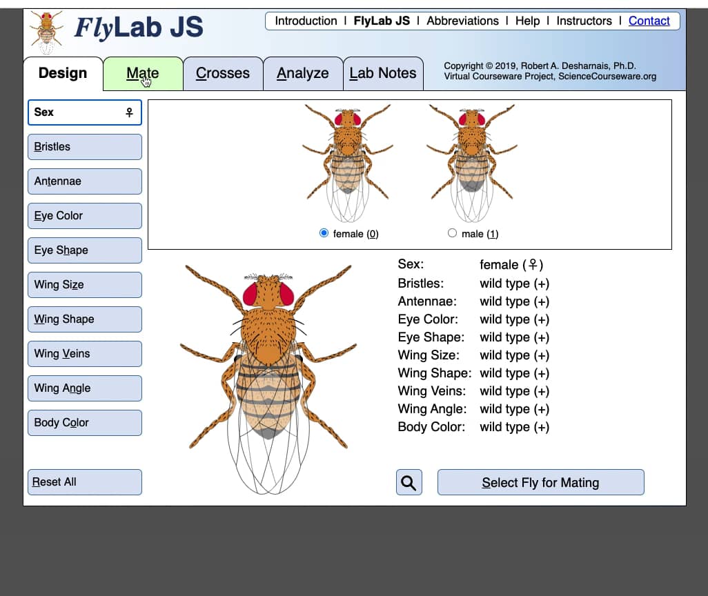 How to use Fly Lab JS on Vimeo