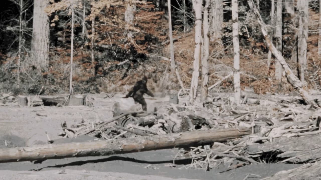 We Want To Believe (Trailer 1)