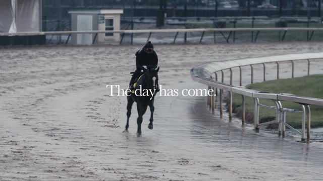 Thousand Words road to the 2020 Kentucky Derby