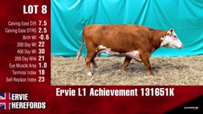 Lot #8 - L1 ACHIEVEMENT 131650