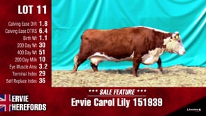 Lot #11 - CAROL LILY 151939