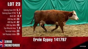 Lot #23 - GYPSY 141797