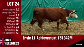 Lot #24 - L1 ACHIEVEMENT 151942