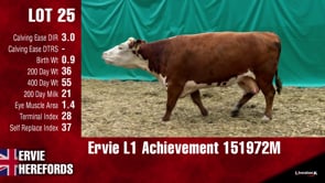 Lot #25 - L1 ACHIEVEMENT 151972