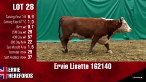 Lot #28 - LISETTE 162140