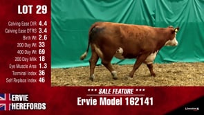 Lot #29 - MODEL 162141