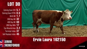 Lot #30 - LAURA 162150
