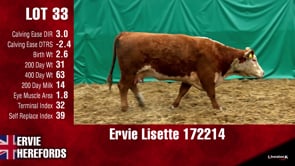 Lot #33 - LISETTE 172214