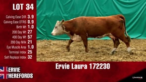 Lot #34 - LAURA 172230