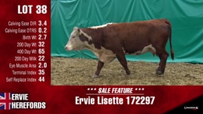 Lot #38 - LISETTE 172297