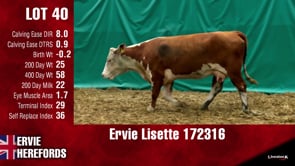 Lot #40 - LISETTE 172316