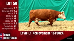 Lot #50 - L1 ACHIEVEMENT 161902A