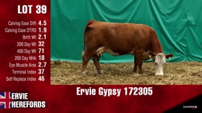 Lot #39 - GYPSY 172305