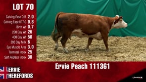 Lot #70 - PEACH 111361