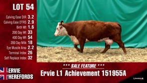 Lot #54 - L1 ACHIEVEMENT 151955A