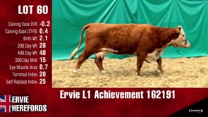 Lot #60 - L1 ACHIEVEMENT 162191A