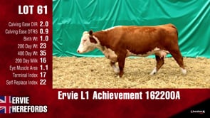 Lot #61 - L1 ACHIEVEMENT 162200A