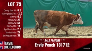 Lot #73 - PEACH 131712