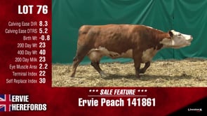 Lot #76 - PEACH 141861