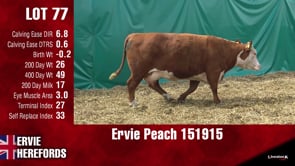 Lot #77 - PEACH 151915