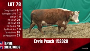 Lot #78 - PEACH 152028