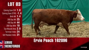Lot #83 - PEACH 162096