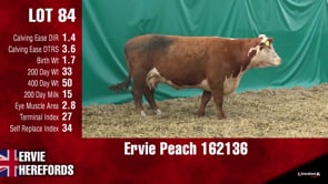 Lot #84 - PEACH 162126