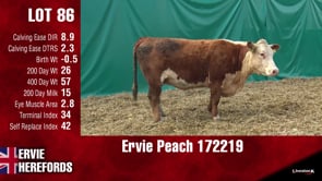 Lot #86 - PEACH 172219