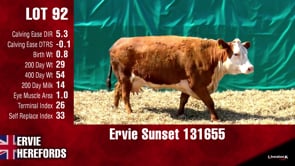 Lot #92 - SUNSET 131655
