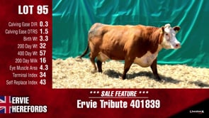 Lot #95 - TRIBUTE 401839
