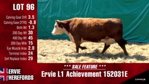 Lot #96 - L1 ACHIEVEMENT 152031E