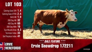 Lot #103 - SNOWDROP 172211