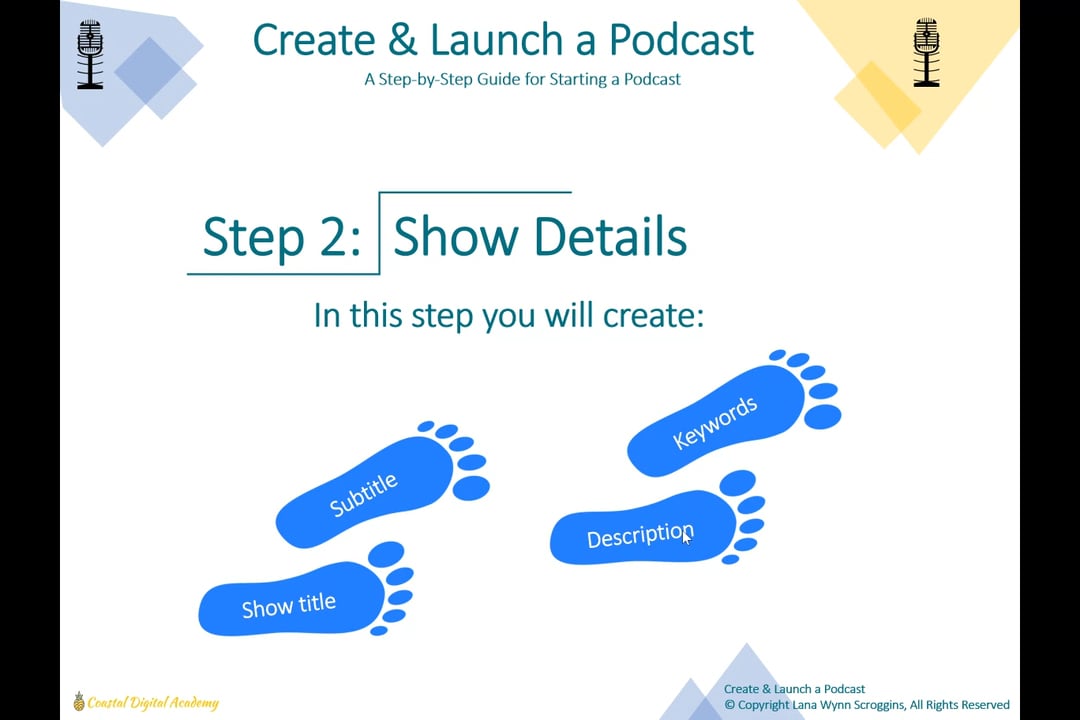 Step 2 - Show Details on Vimeo