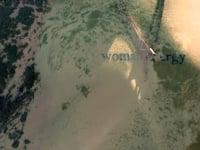 Teaser ( womeNEnergy ) - ClickID