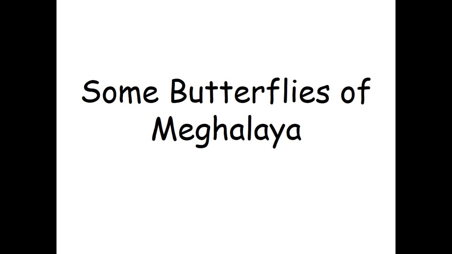 Some Butterflies of Meghalaya - 2016