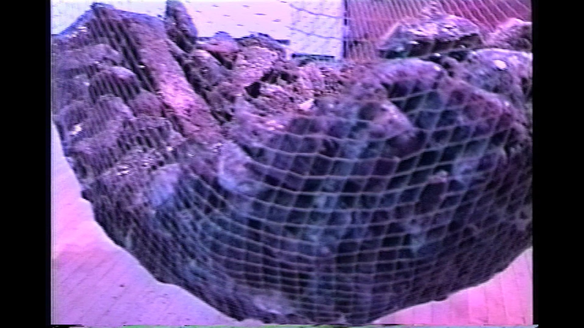 Chaotic Symphony The Catch-All Net