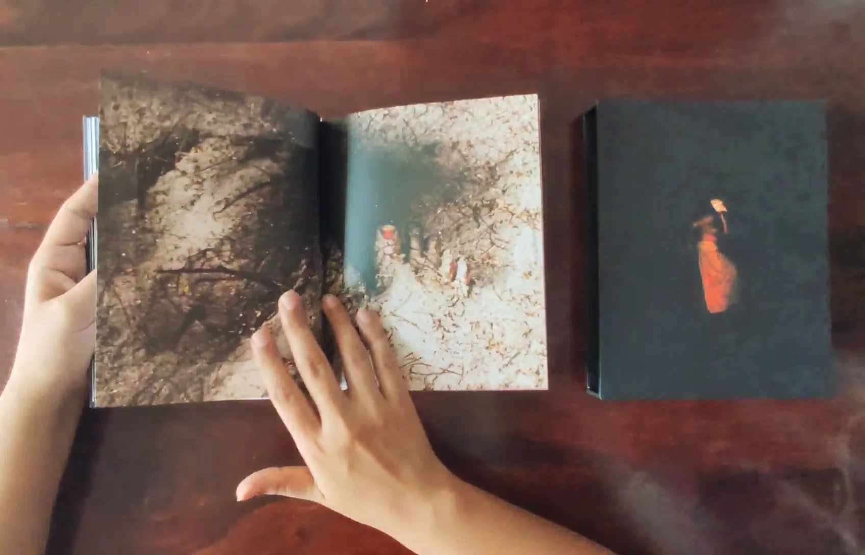 Where the Birds Never Sing – Red Turtle Photobook