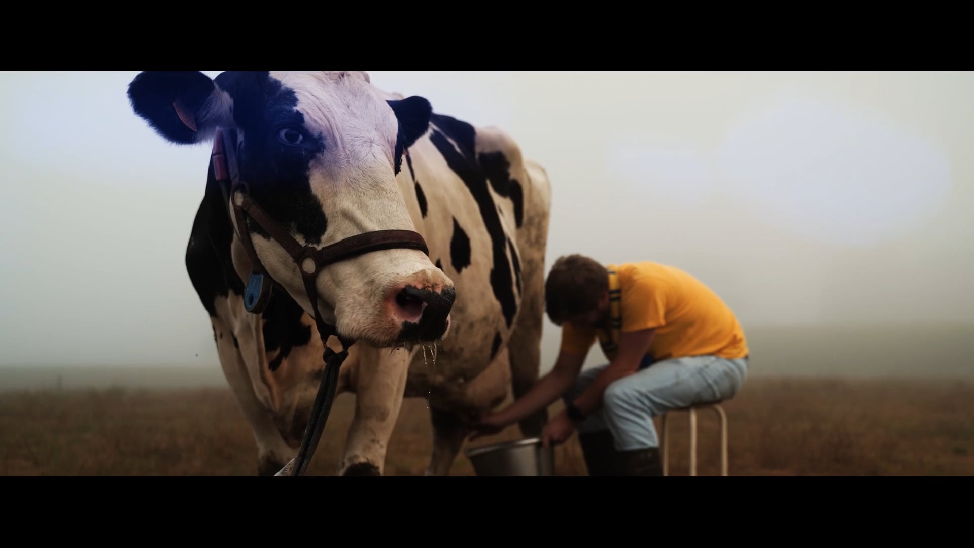 KSK Beveren #DrinkMelk