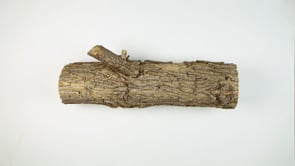 Allbirds - Stop Motion Animation