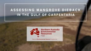 Assessing mangrove dieback in the Gulf of Carpentaria (Science Week Video 2020)