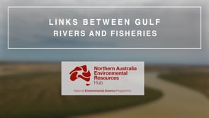 Links between Gulf rivers and fisheries (Science Week Video 2020)